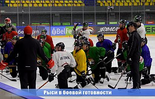 Сюжет телеканала «Первый городской» о подготовке «Гомеля» к четвертьфинальным матчам