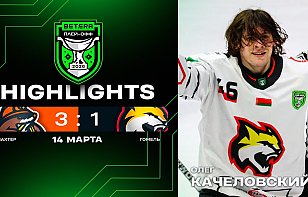Видеообзор первого матча «Гомеля» против «Шахтера» в четвертьфинальной серии