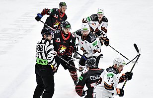 Betera-Экстралига: 17 января «Гомель» проведет второй домашний матч с «Шахтером», начало - в 19:25