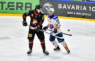 Betera-Экстралига: 23 февраля «Гомель» вновь сыграет с «Локомотивом», начало матча - в 19:00