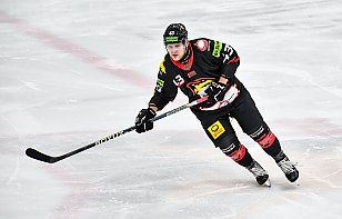 Защитник Никита Анохин пополнил состав «Гомеля»