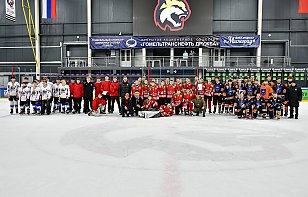 Завершился областной этап соревнований «Золотая шайба» в дивизионе Б в старшей возрастной группе