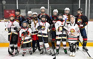 «Гомель» приглашает девочек принять участие во Всемирном женском хоккейном уикенде