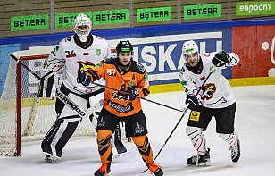 Плей-офф. 1/4 финала: 22 марта «Гомель» в гостях у «Шахтера» проведет пятый матч серии, начало - в 17:55